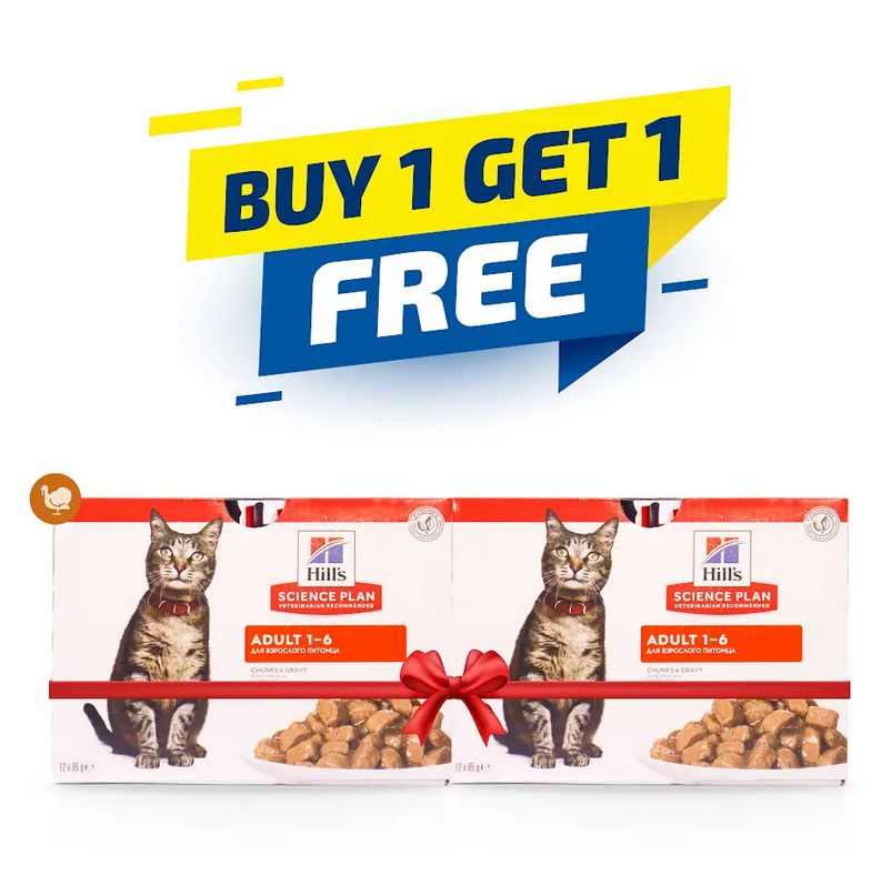 Hill's Science Plan Tender Chunks & Gravy Kitten Turkey Pouches 85gx12